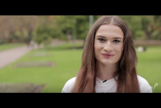 Understanding pronouns.