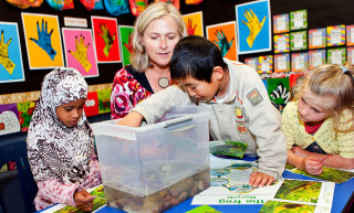 Curriculum accessibility