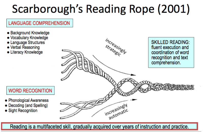 The simple view of reading and literacy acquisition Inclusive Education