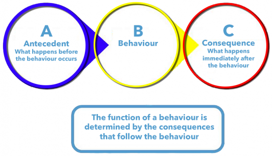 11665 [Functional-behaviour.png]