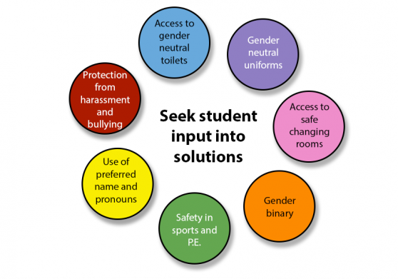 Seek input into student solutions
