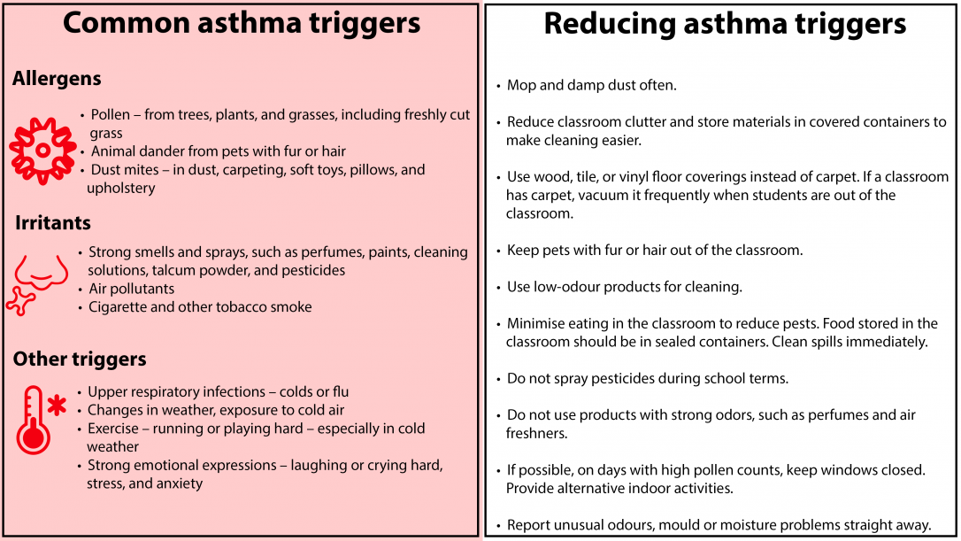 Poster identifying common asthma triggers and how to reduce them