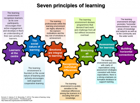7 principles