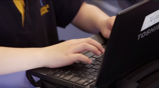 Netbooks - an